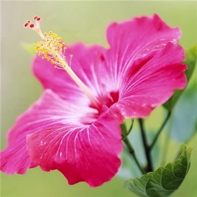 有品位的微信头像阳光(精选18张)