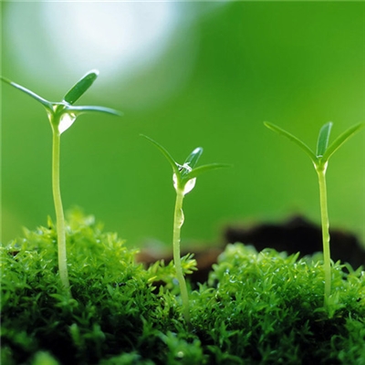 有品位的微信头像阳光(精选18张)