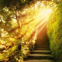 有品位的微信头像阳光(精选18张)