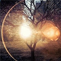 有品位的微信头像阳光(精选18张)