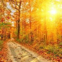 有品位的微信头像阳光(精选18张)