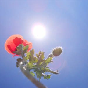 男人正能量有魅力的头像(精选32张)