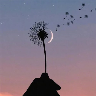 2023最火好看高清头像(22张)