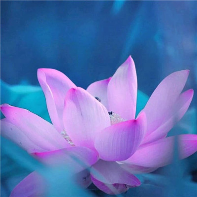 2023最火好看高清头像(22张)