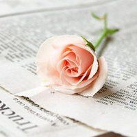 2023年最火鲜花微信头像(22张)