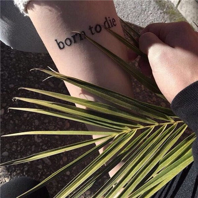 2023年最火的文字头像(精选26张)