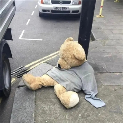 2023年最火摆烂头像(精选24张)