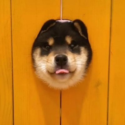 2023最火冷酷狗狗头像(26张)