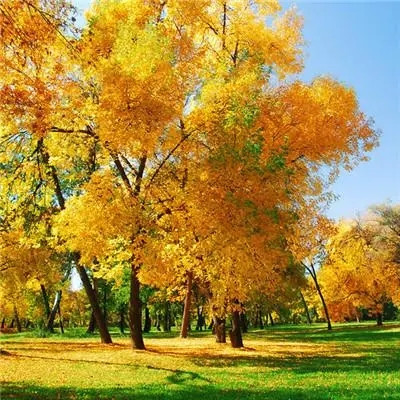 2023最火微信个性头像(精选22张)