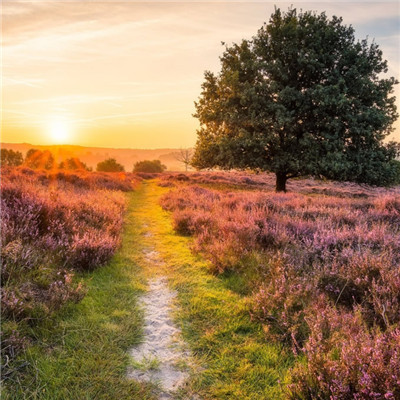 2023最火微信个性头像(精选22张)