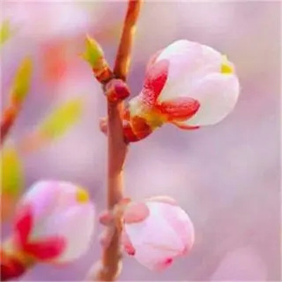 2023最火微信个性头像(精选22张)