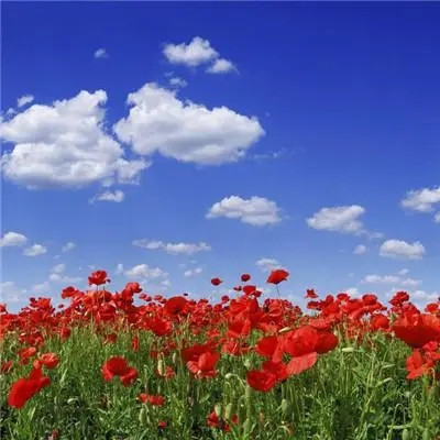 2023最火微信个性头像(精选22张)