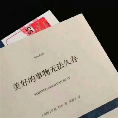 2023年带字最火的头像(22张)