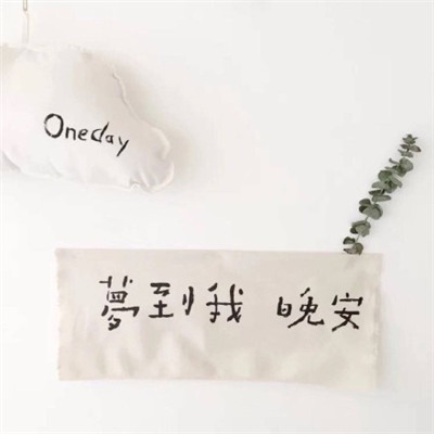 2023年带字最火的头像(22张)