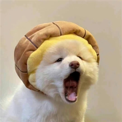 2023年最火沙雕的头像(22张)