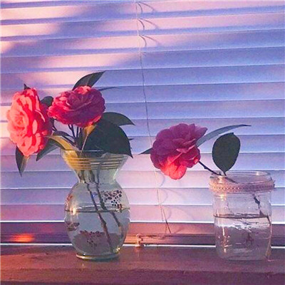 2023最火风景图片头像(精选24张)