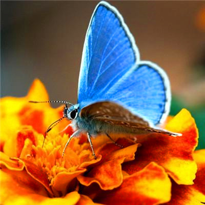 2023年最红的微信头像(24张)