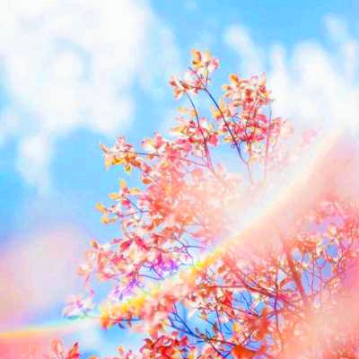 2023年最红的微信头像(24张)