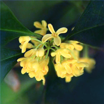 抖音最火2023头像(精选16张)