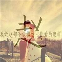 2023最火赵姓姓氏头像(14张)