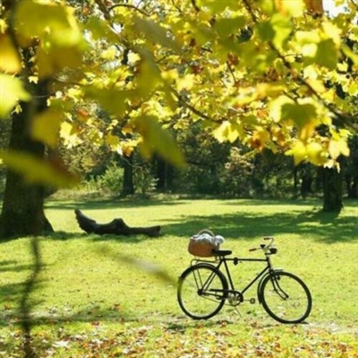 2023最火立体微信头像(精选24张)