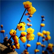 2023年最火最运气好的头像(22张)