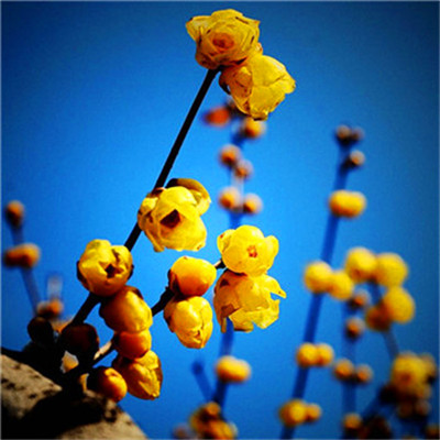 2023年最火最运气好的头像(22张)