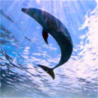 2023年最火最运气好的头像(22张)