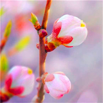 2023年最火最运气好的头像(22张)