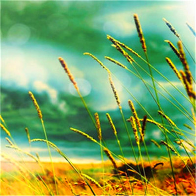 2023年最火最运气好的头像(22张)