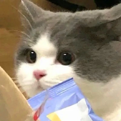 2023最火搞怪动物头像(精选24张)