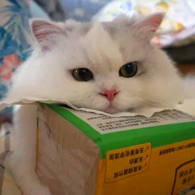 2023最火搞怪动物头像(精选24张)