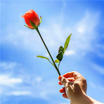 2023最火的新年头像(20张)