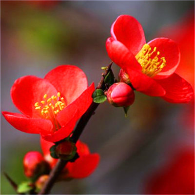 2023最火的新年头像(20张)