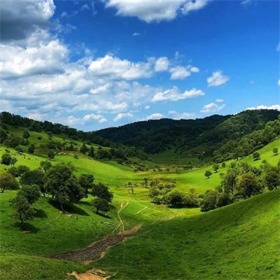 2023最舒心的微信头像(24张)