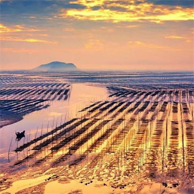 2023最舒心的微信头像(24张)