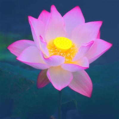 2023年最火的风水微信头像(精选24张)