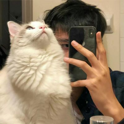 2023年最拽微信头像(精选24张)