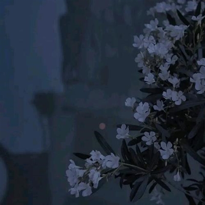 2023最吸引人的头像(24张)