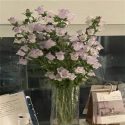 2023最火动态背景图片头像(24张)