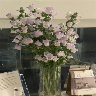 2023最火动态背景图片头像(24张)