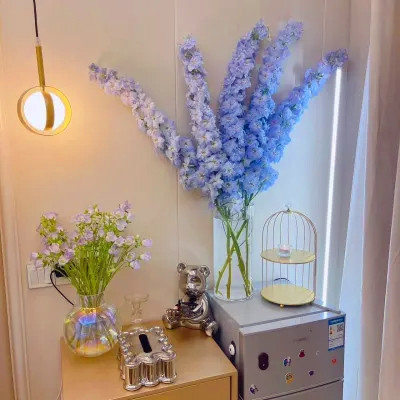 2023最火动态背景图片头像(24张)