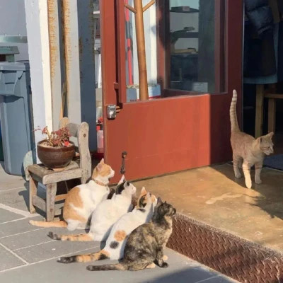 2023最火动态背景图片头像(24张)