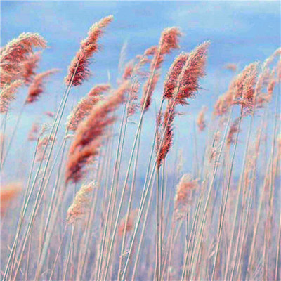 2023年女人最走运风景头像(28张)