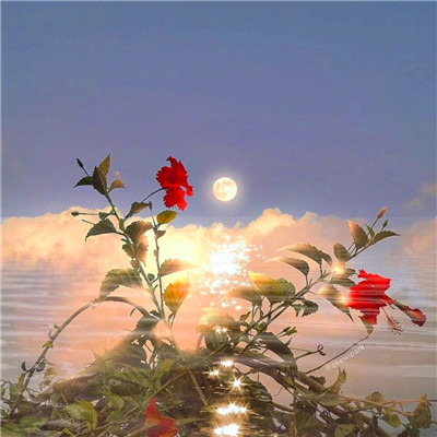 2023年女人最走运风景头像(28张)