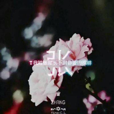 2023年最红的张姓头像(精选15张)