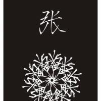 2023年最红的张姓头像(精选15张)