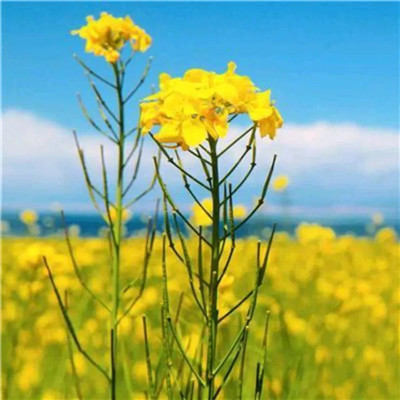 2023年最帅的微信头像(20张)