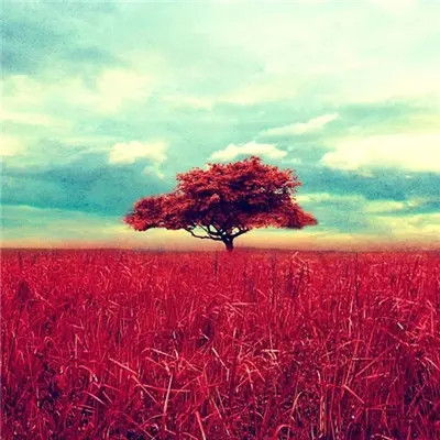 2023年最帅的微信头像(20张)