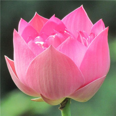 2023年最流行图片头像(22张)